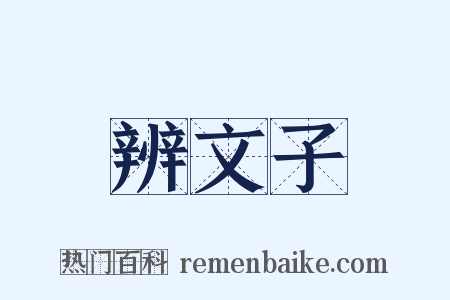 辨文子是什么意思的图片